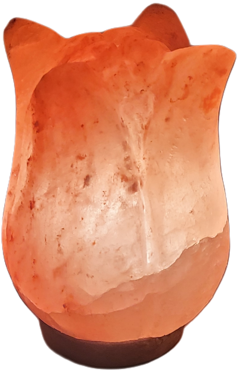 Lotus Flower Shape Salt Lamp - StonesWork