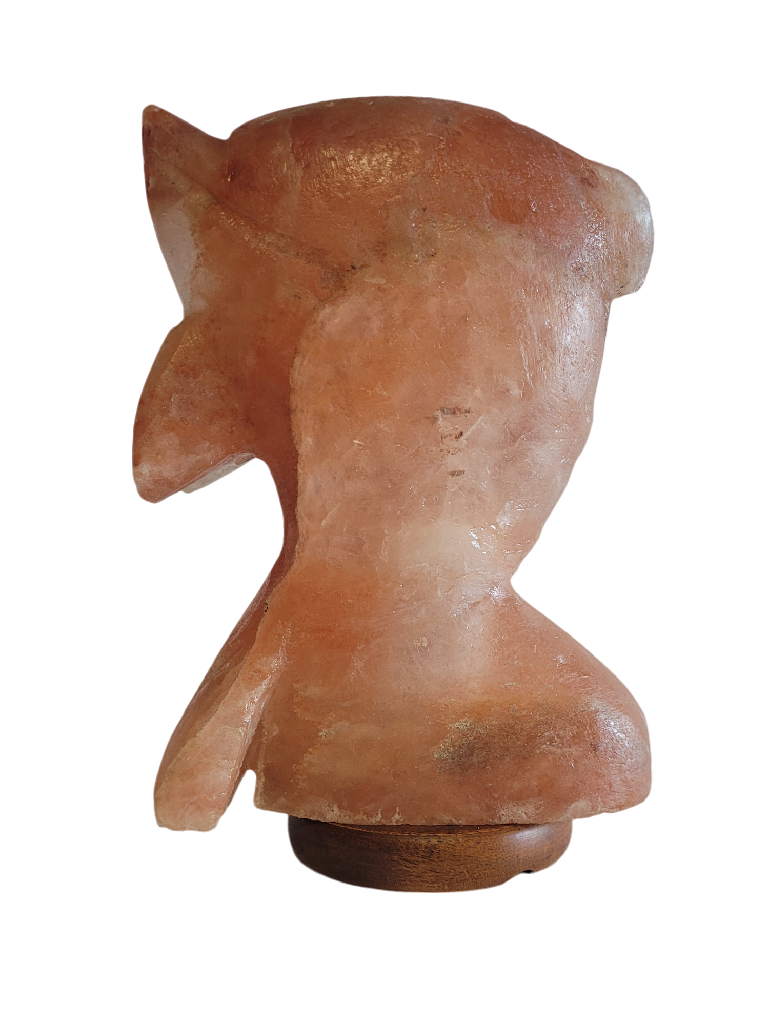 Salt Lamp Dolphin Shape 3 kg - StonesWork