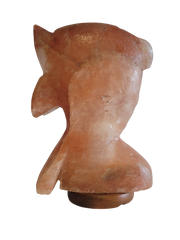 Salt Lamp Dolphin Shape 3 kg - StonesWork