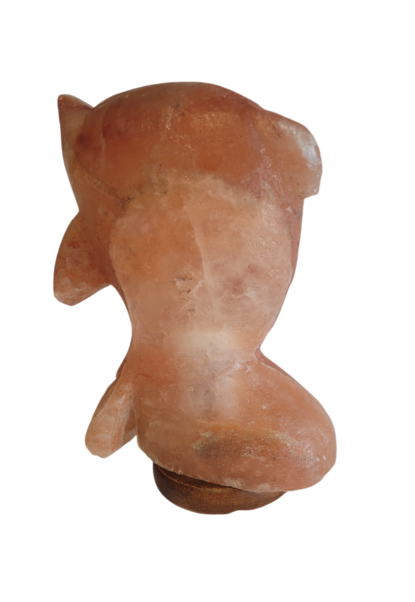 Salt Lamp Dolphin Shape 3 kg - StonesWork