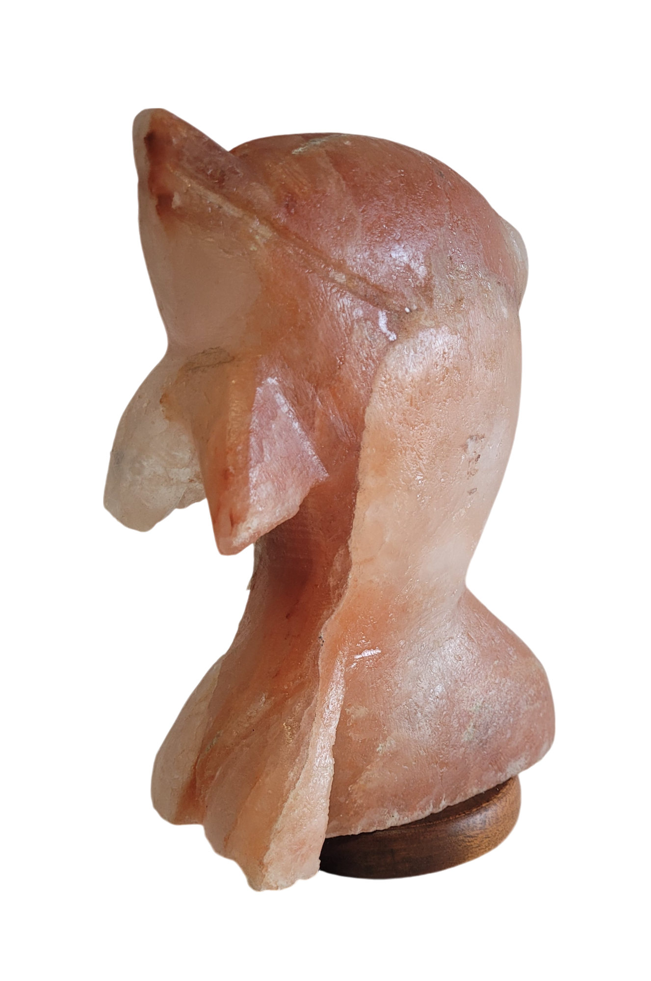 Salt Lamp Dolphin Shape 3 kg - StonesWork