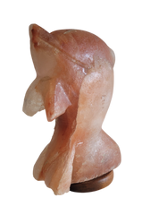 Salt Lamp Dolphin Shape 3 kg - StonesWork