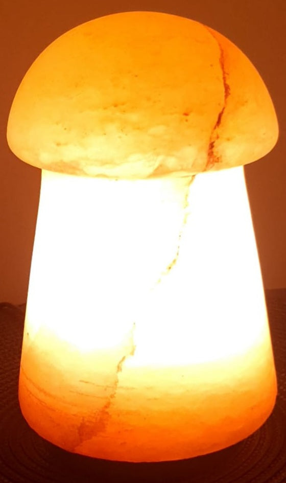 Mushroom SHAPE SALT LAMP  3.25Kg - StonesWork